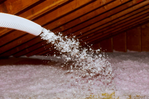 Best Basement Insulation  in Edgeworth, PA